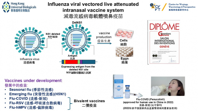 香港大學新發傳染性疾病全國重點實驗室和InnoHK病毒與疫苗研究中心成功研發鼻噴禽流感H5N1疫苗